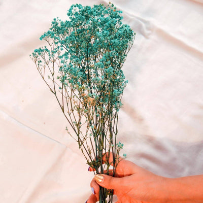 Naturally Dried Turquoise Blue Baby Breaths – Decor & Artefacts on Brown Living™. SKU: 412. Img 2.