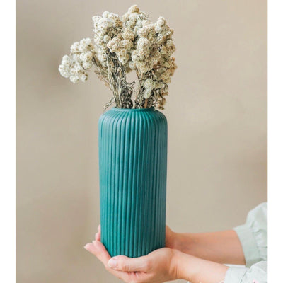 Naturally Dried White Daisies – Decor & Artefacts on Brown Living™. SKU: 223. Img 2.