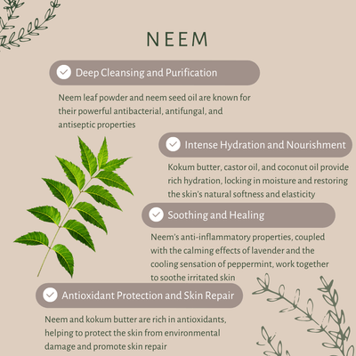 Neem Bar Soap for All Skin Types with Neem Oil & Charcoal – Body Soap on Brown Living™. SKU: S10004. Img 3.