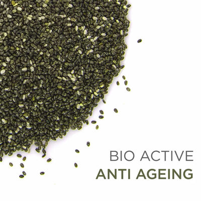 Organic Green Tea: A Pure Blend of Wellness – Tea on Brown Living™. SKU: HTTEGT015P. Img 4.