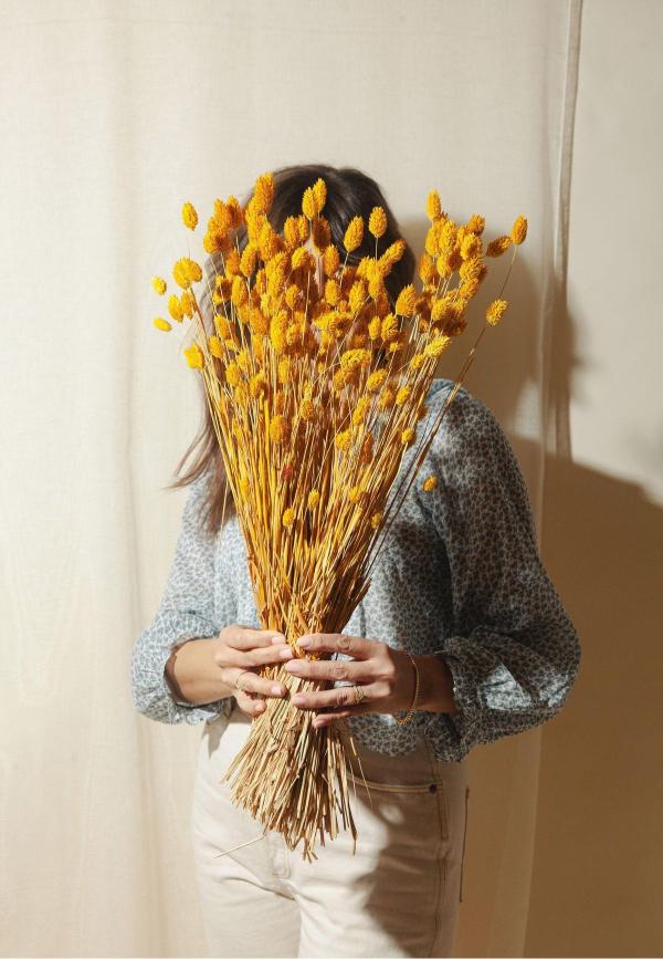 Phalaris Yellow - Dried Flowers Bunch Decor | Verified Sustainable by Brown Living™