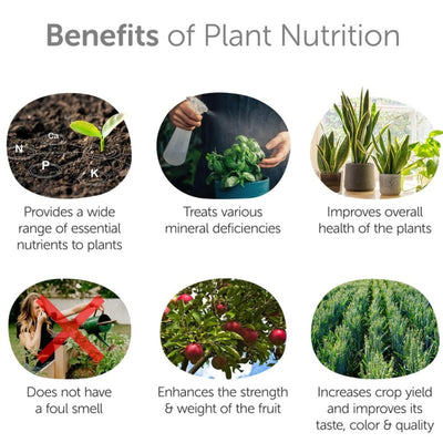 Plant Nutrition Liquid 750ml - Multi - Nutrient Bio - Enzyme – Garden Accessories on Brown Living™. SKU: 4KG_PNLBE - 75T. Img 3.