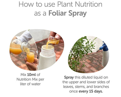 Plant Nutrition Liquid 750ml - Multi - Nutrient Bio - Enzyme – Garden Accessories on Brown Living™. SKU: 4KG_PNLBE - 75T. Img 4.