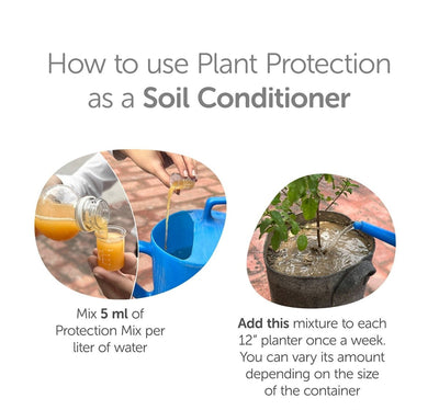 Plant Protection Liquid 750ml - Neem Bio - Enzyme – Garden Accessories on Brown Living™. SKU: 4KG_PPLBE - 75T. Img 4.