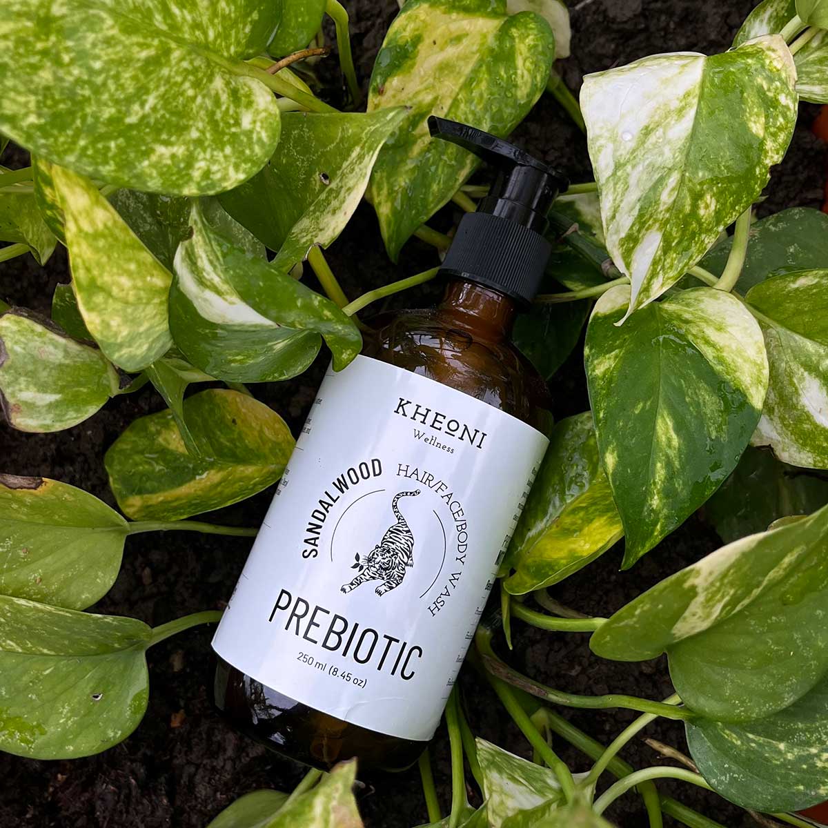 Prebiotic Sandalwood Wash (Hair/Face/Body) | Verified Sustainable by Brown Living™