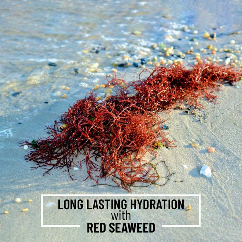 Red Seaweed + Mamaku Natural Hydration Cream | Verified Sustainable by Brown Living™