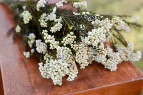 Rice Flower White - Elegant Dried Flower Bunch – Home Decor on Brown Living™. SKU: DF - 280. Img 2.