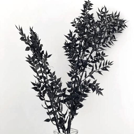 Ruscus Black - Unique Dried Floral Decor | Verified Sustainable by Brown Living™