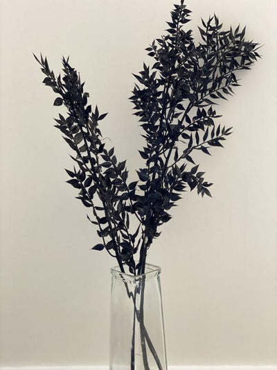 Ruscus Black - Unique Dried Floral Decor – Home Decor on Brown Living™. SKU: DF - 284. Img 8.