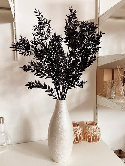 Ruscus Black - Unique Dried Floral Decor | Verified Sustainable by Brown Living™