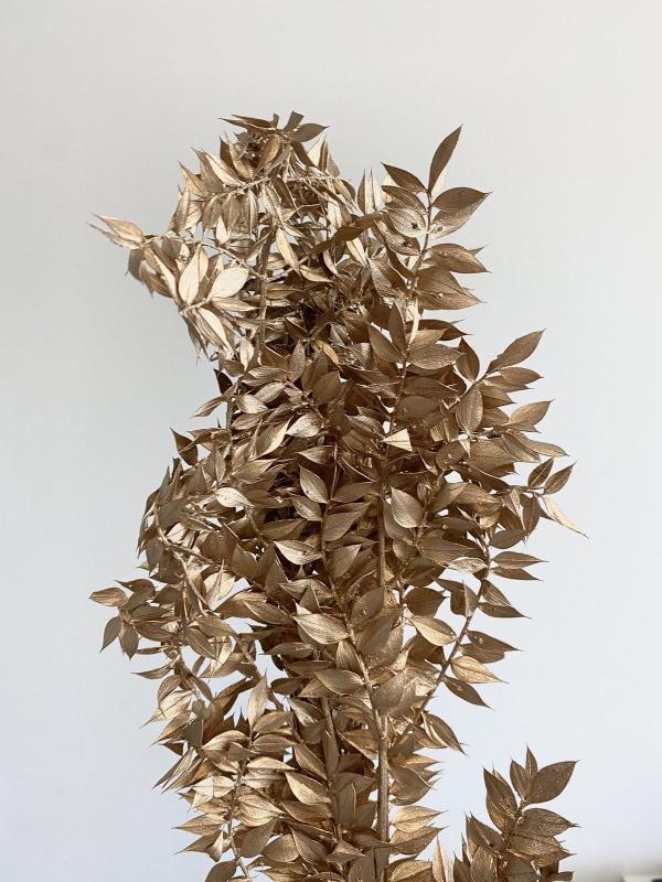 Ruscus Golden - Decorative Dried Bunch for Homes | Verified Sustainable by Brown Living™