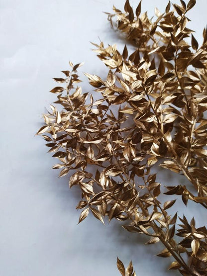 Ruscus Golden - Decorative Dried Bunch for Homes | Verified Sustainable by Brown Living™