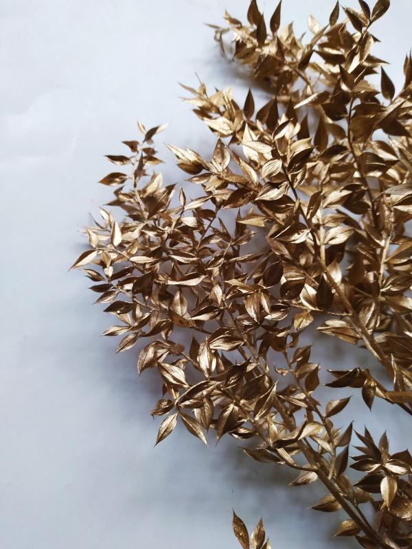 Ruscus Golden - Decorative Dried Bunch for Homes | Verified Sustainable by Brown Living™