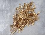 Ruscus Golden - Decorative Dried Bunch for Homes | Verified Sustainable by Brown Living™
