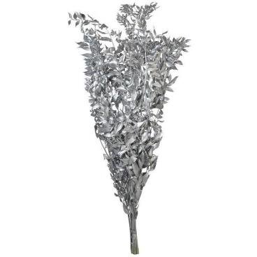 Ruscus Silver - Modern Dried Flower Arrangement – Home Decor on Brown Living™. SKU: DF - 282. Img 1.