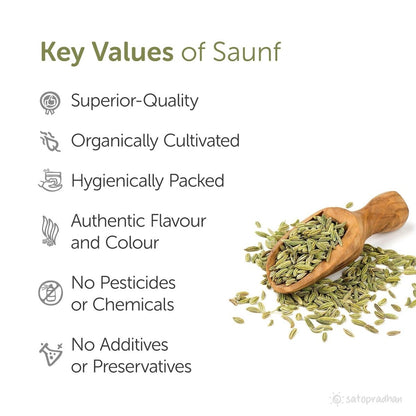 Saunf 200g - Organic Fennel Seeds | Verified Sustainable by Brown Living™