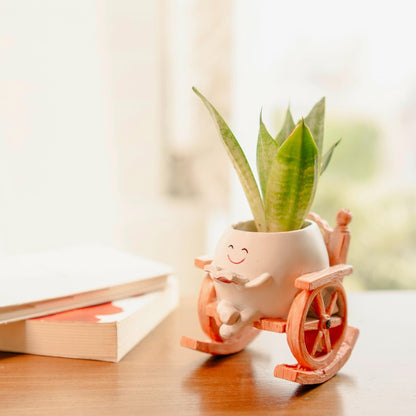 Seat of Stories - Hanging Planter for Indoor Spaces | Verified Sustainable by Brown Living™