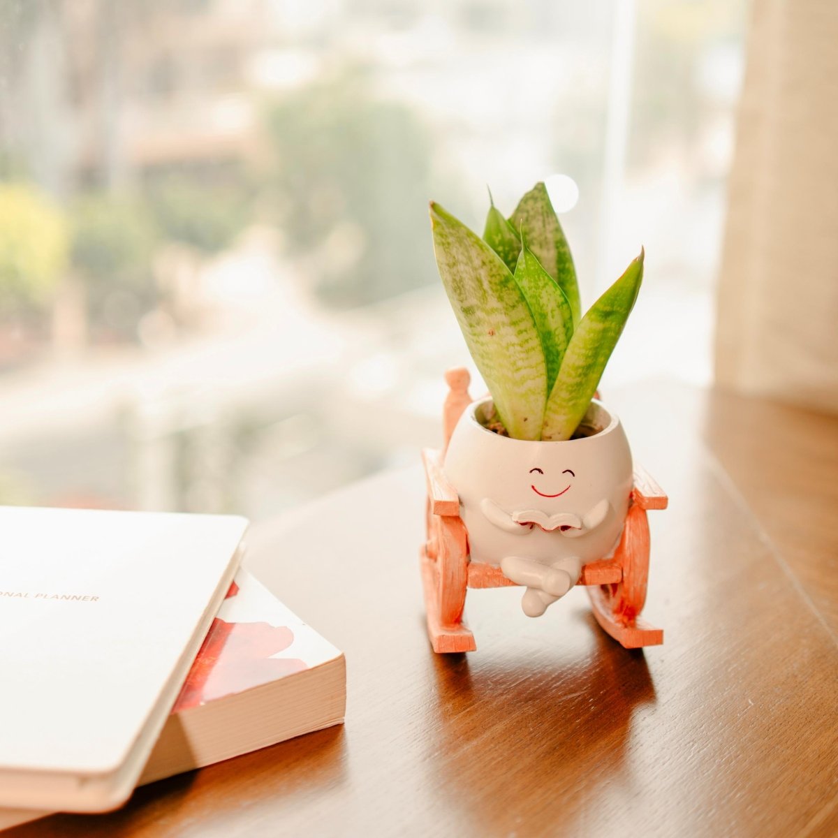 Seat of Stories - Hanging Planter for Indoor Spaces | Verified Sustainable by Brown Living™