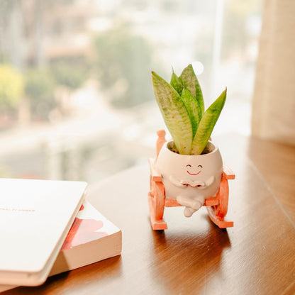 Seat of Stories - Hanging Planter for Indoor Spaces | Verified Sustainable by Brown Living™