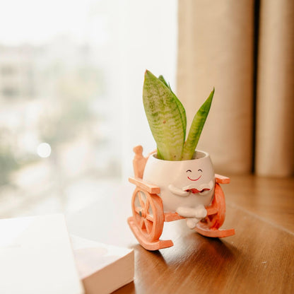 Seat of Stories - Hanging Planter for Indoor Spaces | Verified Sustainable by Brown Living™