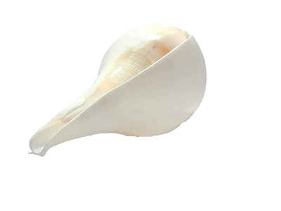 Shankha - The Facial Massager – Massager on Brown Living™. SKU: Shankha - 10. Img 3.