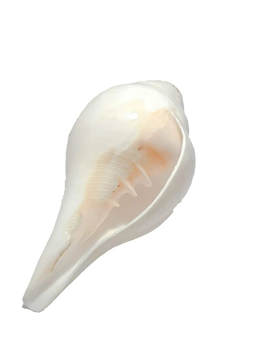 Shankha - The Facial Massager | Verified Sustainable by Brown Living™