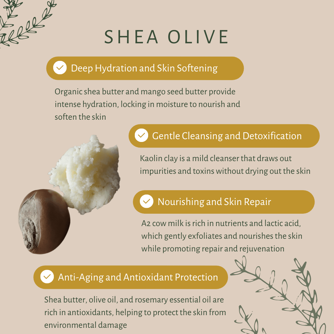 Shea Olive Bar Soap with Organic Shea Butter for Nourished Skin – Body Soap by Lilo Naturals available on Brown Living™. . SKU: S10008. Img 3.