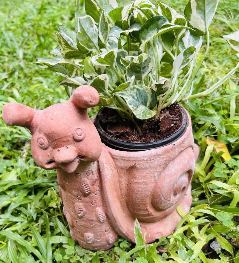 Snuggle Snail Planter | Verified Sustainable by Brown Living™