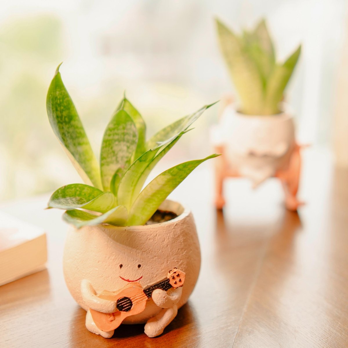 The Jazzy Planter - Boho Chic Handcrafted Planter | Verified Sustainable by Brown Living™