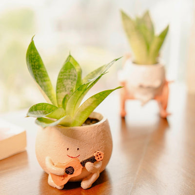 The Jazzy Planter - Boho Chic Handcrafted Planter – Ceramic Planter on Brown Living™. SKU: v - 326. Img 3.