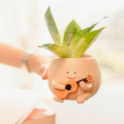 The Jazzy Planter - Boho Chic Handcrafted Planter – Ceramic Planter on Brown Living™. SKU: v - 326. Img 1.