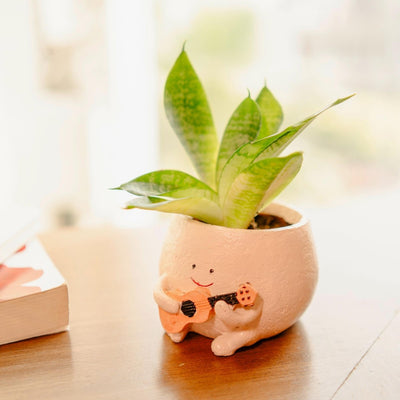 The Jazzy Planter - Boho Chic Handcrafted Planter – Ceramic Planter on Brown Living™. SKU: v - 326. Img 2.