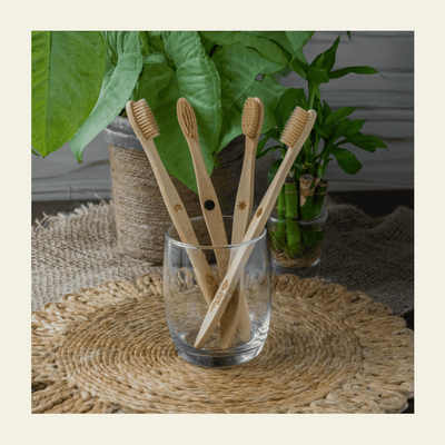 Ultra Soft Bamboo Toothbrush | Eco - Friendly & Anti - Bacterial – Tooth Brush on Brown Living™. SKU: SOPHBBA0S004. Img 4.