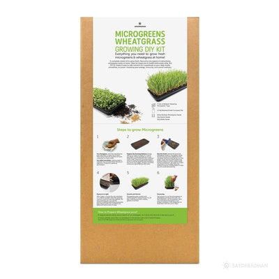 Wheatgrass DIY Kit - Organic Seeds & Soilless Mix – Gardening Tools on Brown Living™. SKU: 4KG_WGK. Img 3.