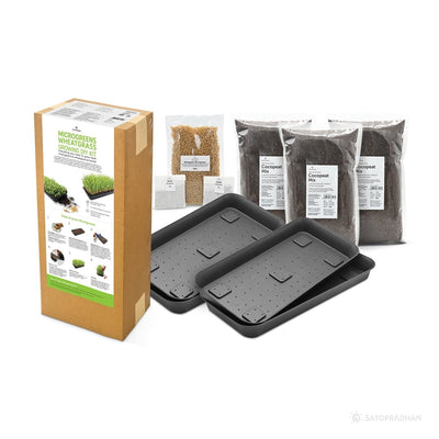 Wheatgrass DIY Kit - Organic Seeds & Soilless Mix – Gardening Tools on Brown Living™. SKU: 4KG_WGK. Img 1.