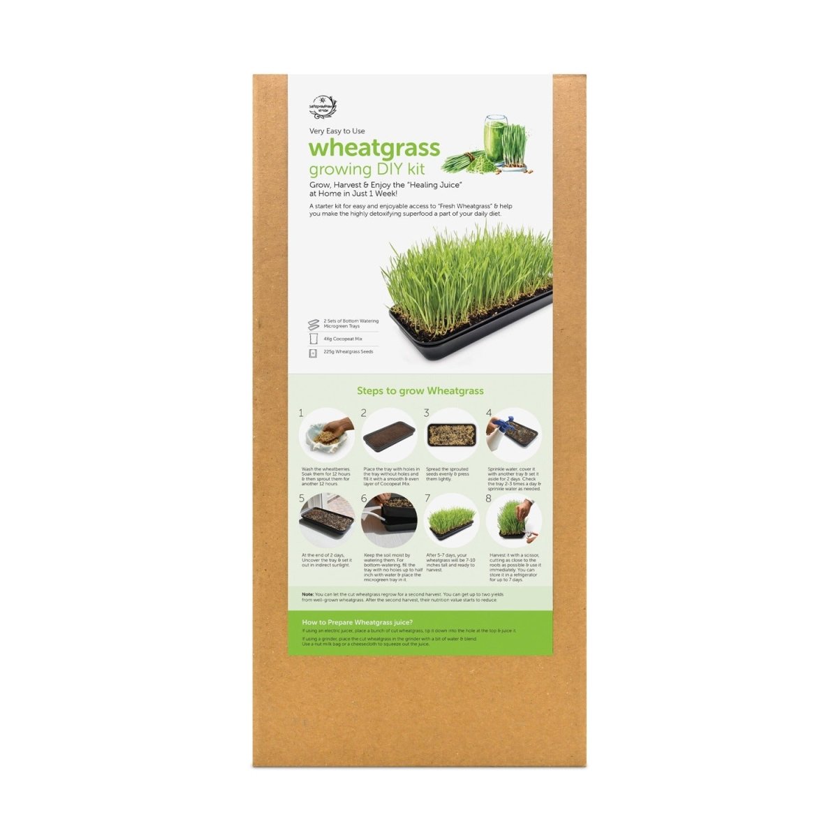 Wheatgrass DIY Kit - Organic Seeds & Soilless Mix | Verified Sustainable by Brown Living™