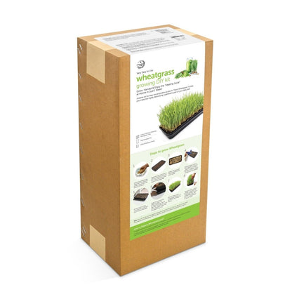 Wheatgrass DIY Kit - Organic Seeds & Soilless Mix | Verified Sustainable by Brown Living™