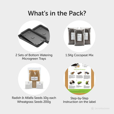 Wheatgrass DIY Kit - Organic Seeds & Soilless Mix – Gardening Tools on Brown Living™. SKU: 4KG_WGK. Img 5.
