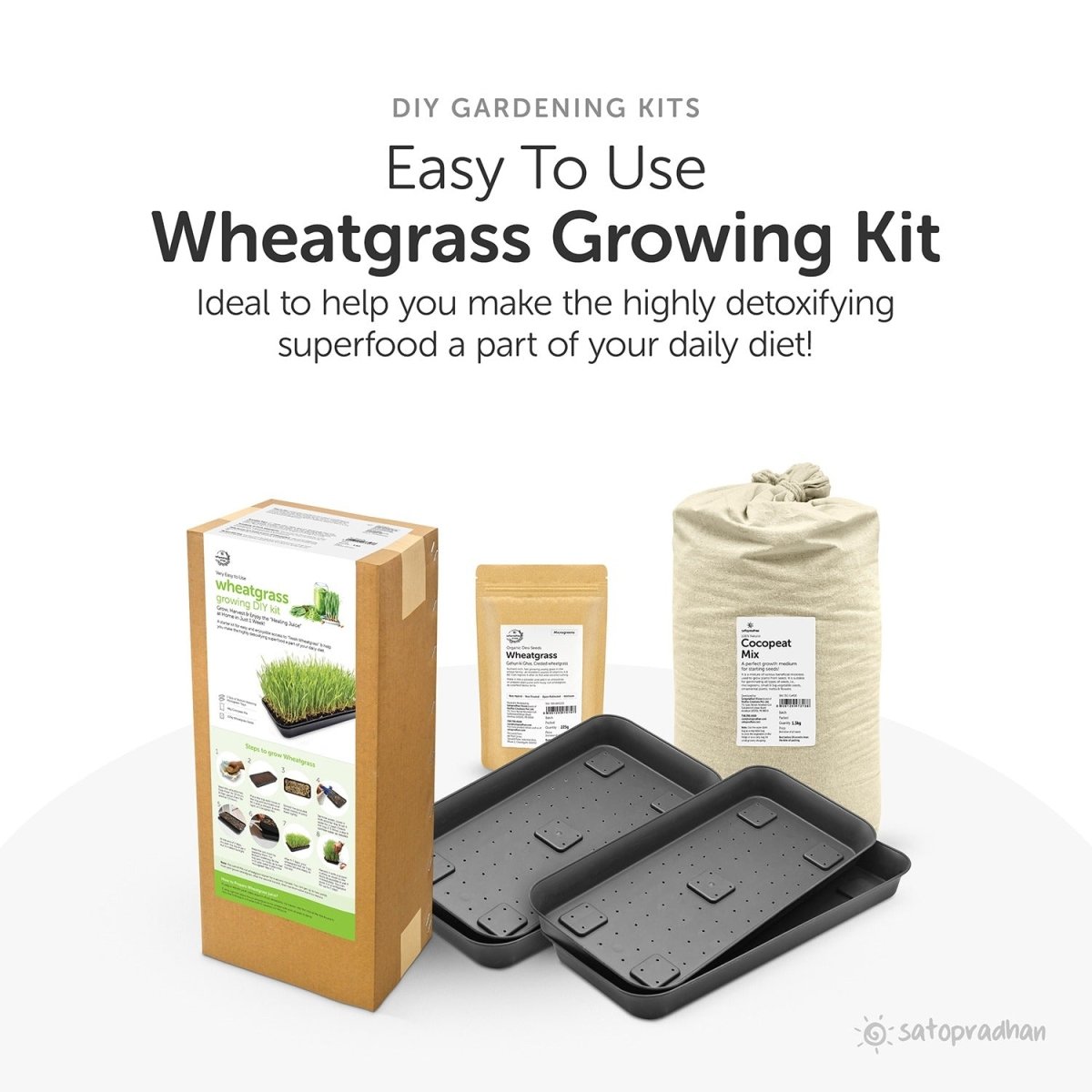 Wheatgrass DIY Kit - Organic Seeds & Soilless Mix | Verified Sustainable by Brown Living™