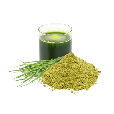 Wheatgrass Powder 100g - Organic, Gluten - Free Superfood – Powder Drink Mixes on Brown Living™. SKU: 1IB_WJP - 1H. Img 1.