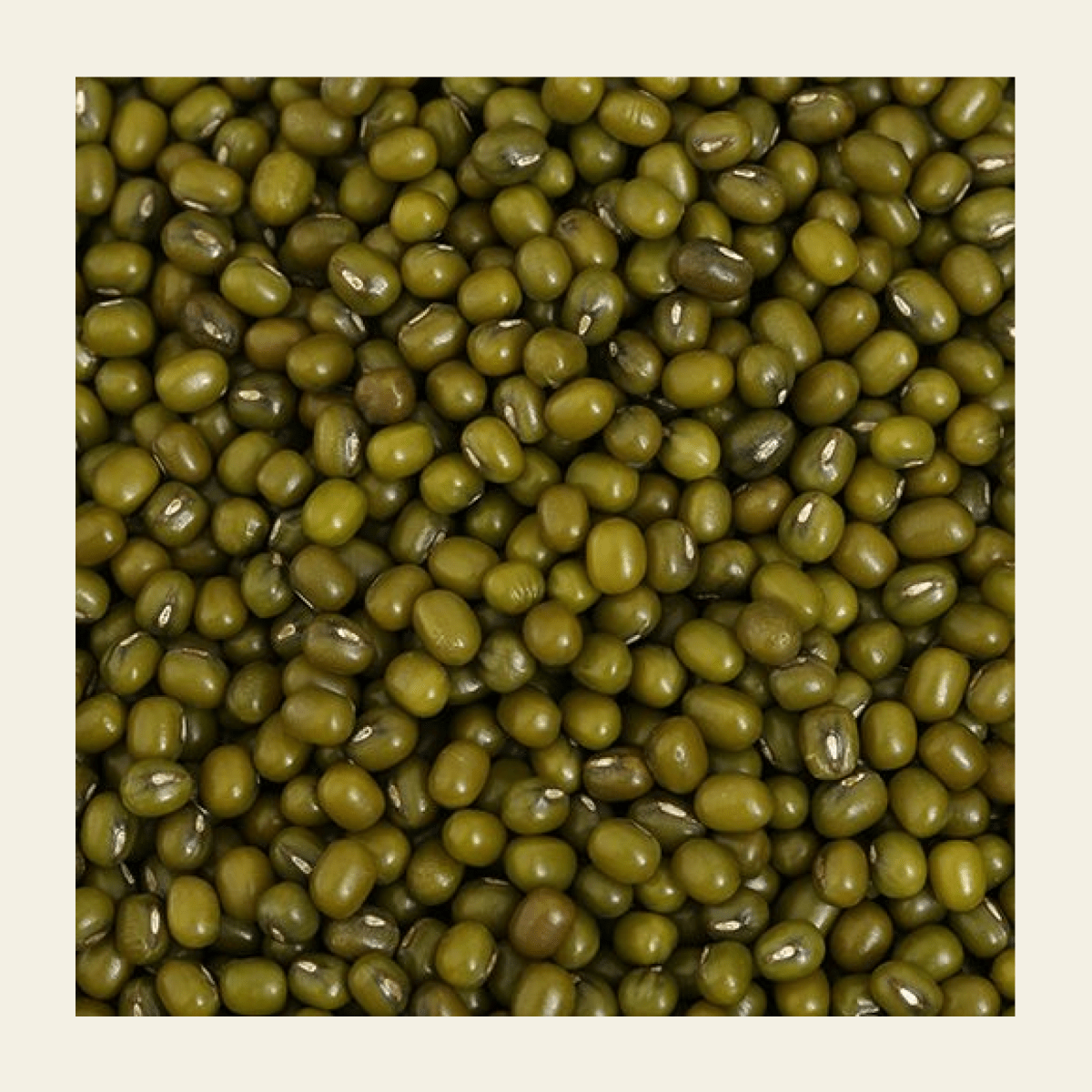 Whole Green Gram (Moong) | Unpolished | Protein - Rich | 500g | Verified Sustainable by Brown Living™