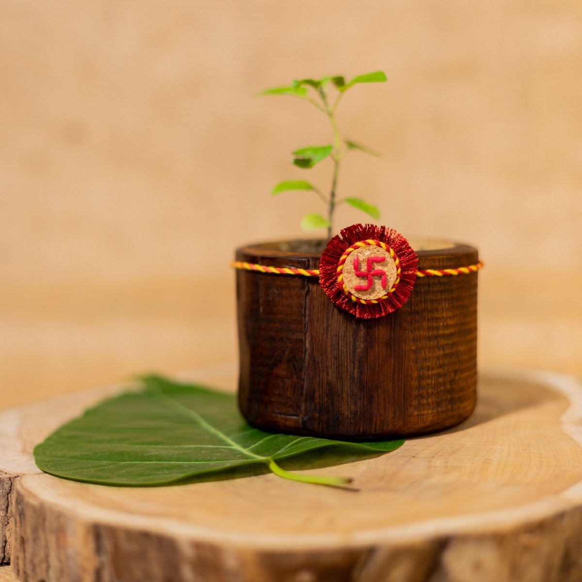 Swastik Handmade Plantable Eco - friendly Rakhi | Grows into Plant – Rakhi by Scrapshala available on Brown Living™. . SKU: SSR09. Img 3.