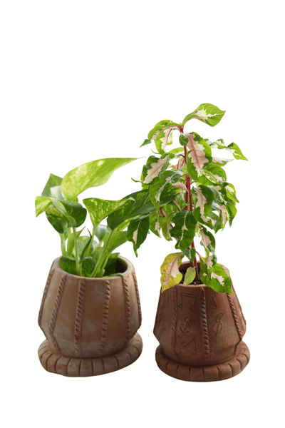 Tabla Taal Earthen Planter – Pots & Planters on Brown Living™. SKU: A0_plt_0025. Img 4.