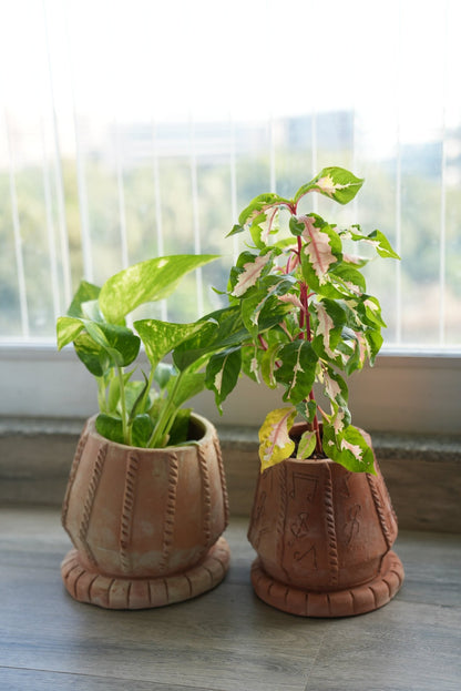 Tabla Taal Earthen Planter – Pots & Planters on Brown Living™. SKU: A0_plt_0025. Img 2.