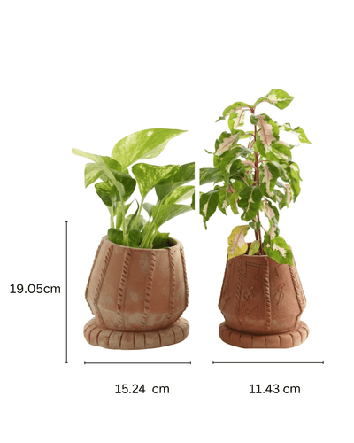 Tabla Taal Raag Handcrafted Musical Clay Planter – Pots & Planters on Brown Living™. SKU: A0_plt_0025. Img 8.
