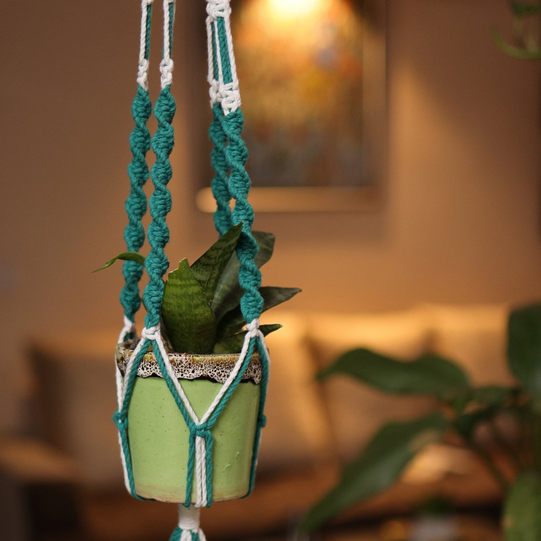 Teal Web Macrame Plant Holder | Verified Sustainable by Brown Living™