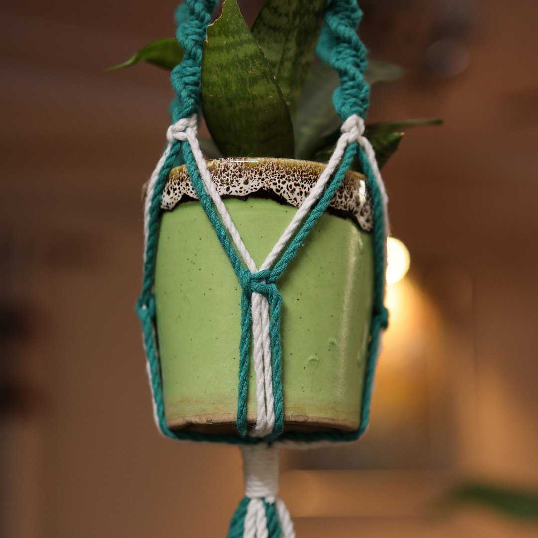 Teal Web Macrame Plant Holder | Verified Sustainable by Brown Living™