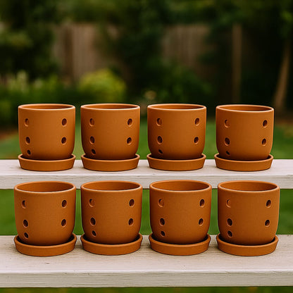 Terracotta Autumn Orchid Planter Small - 4 Inch Pot – Home & Garden on Brown Living™. SKU: PL19-10. Img 26.