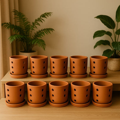 Terracotta Autumn Orchid Planter Small - 4 Inch Pot – Home & Garden on Brown Living™. SKU: PL19-10. Img 19.