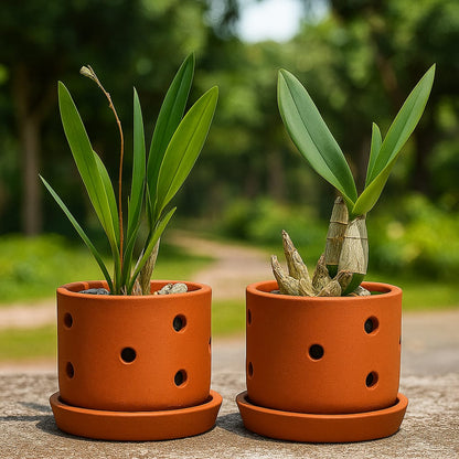 Terracotta Autumn Orchid Planter Small - 4 Inch Pot – Home & Garden on Brown Living™. SKU: PL19-12. Img 6.
